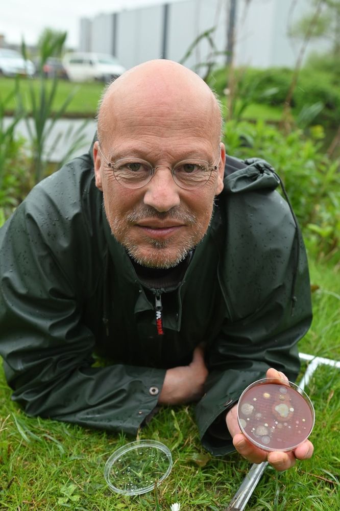 Arjen Speksnijder
