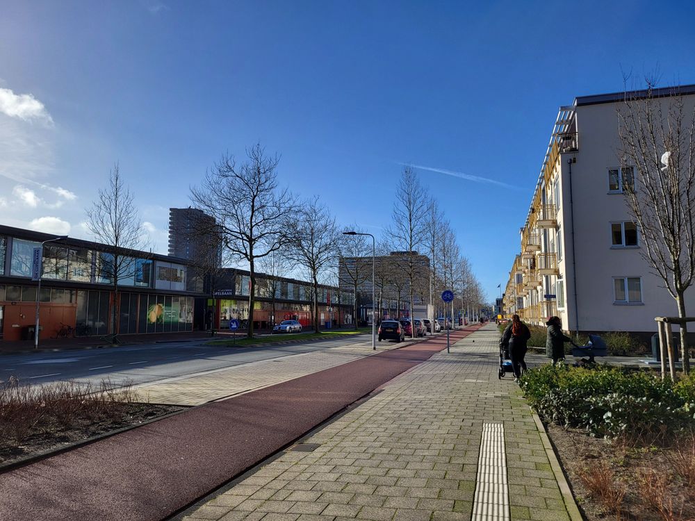 Een wijk in Leiden Zuidwest