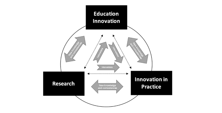 Doorwerking Praktijkgericht Onderzoek van het Hoger Beroepsonderwijs. The Hague: Netherlands Association of Universities of Applied Sciences.